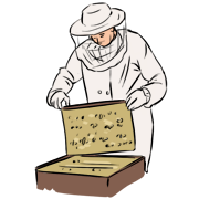 beekeeper
