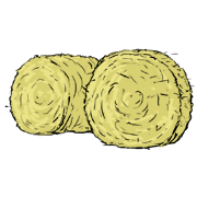 hay