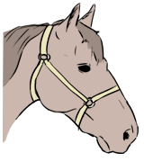 halter