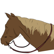 reins