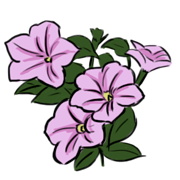 Petunia Petunia