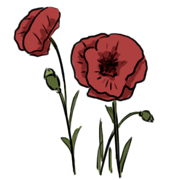 Poppy Poppy