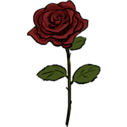 Rose Rose