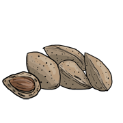 almonds