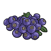 blueberries