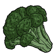 broccoli