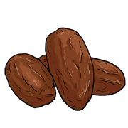 dates
