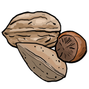 nuts