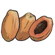 papaya