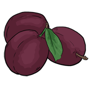 plum
