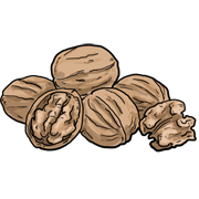 walnuts