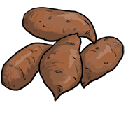 yam