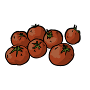 tomatoes