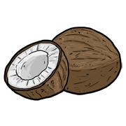 coconut