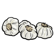 garlic