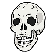 skull skull