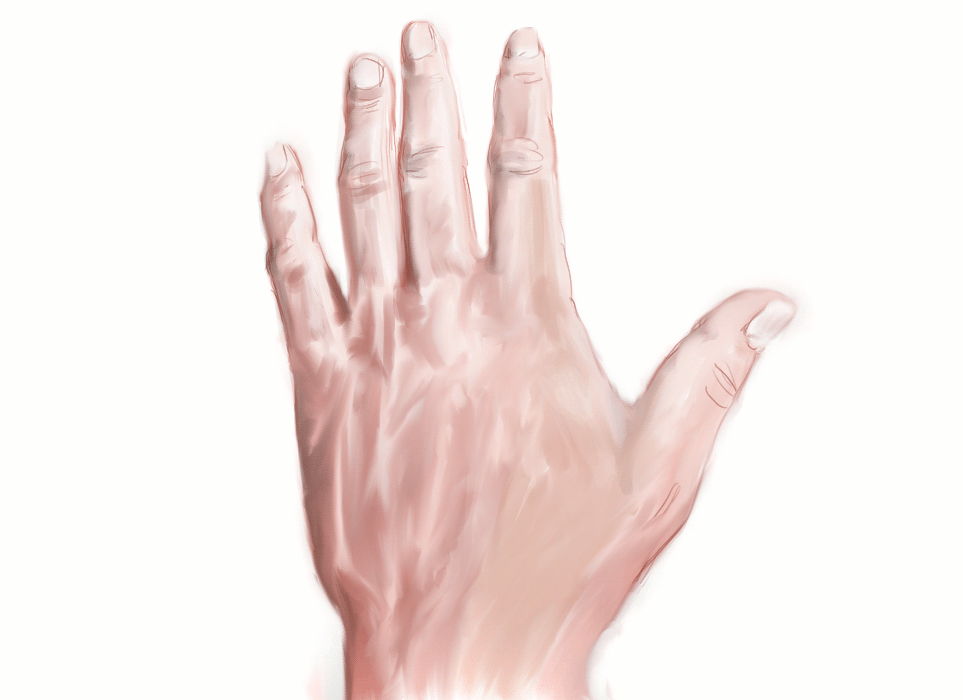 hand vocabulary