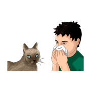 allergy