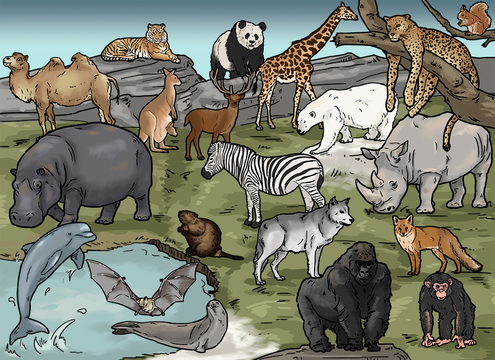 Animals vocabulary Part I: exotic mammals