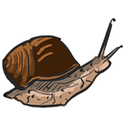 slow