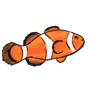 clownfish