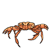 crab