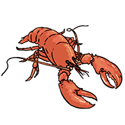 lobster
