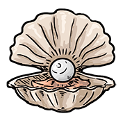 oyster