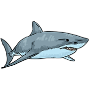 shark