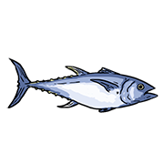 tuna
