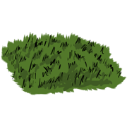 grass