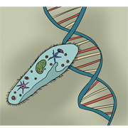 biology