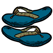 flip-flops